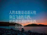 成武维生素网络科技有限公司