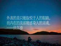成武维生素网络科技有限公司
