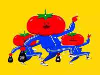 成武维生素网络科技有限公司
