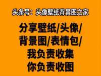 成武维生素网络科技有限公司