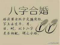 成武维生素网络科技有限公司