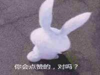 成武维生素网络科技有限公司