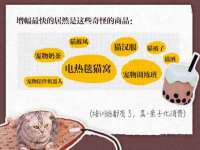 成武维生素网络科技有限公司