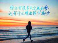 成武维生素网络科技有限公司