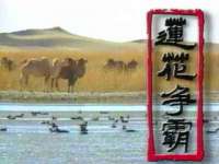 成武维生素网络科技有限公司