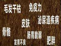 成武维生素网络科技有限公司