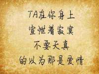 成武维生素网络科技有限公司