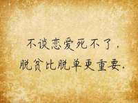 成武维生素网络科技有限公司