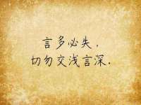 成武维生素网络科技有限公司