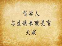 成武维生素网络科技有限公司