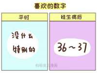成武维生素网络科技有限公司