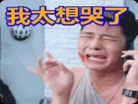 成武维生素网络科技有限公司