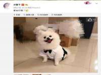 成武维生素网络科技有限公司