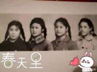 成武维生素网络科技有限公司