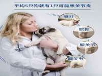 成武维生素网络科技有限公司