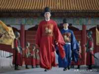 成武维生素网络科技有限公司