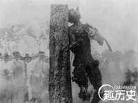 成武维生素网络科技有限公司