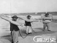 成武维生素网络科技有限公司