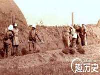 成武维生素网络科技有限公司