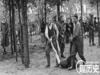 成武维生素网络科技有限公司