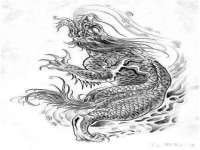 成武维生素网络科技有限公司