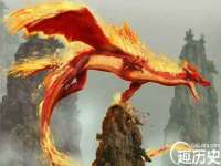 成武维生素网络科技有限公司