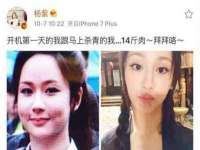 成武维生素网络科技有限公司