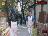 成武维生素网络科技有限公司