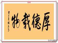 成武维生素网络科技有限公司