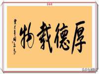 成武维生素网络科技有限公司