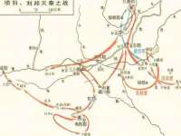 成武维生素网络科技有限公司