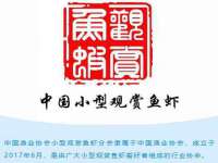 成武维生素网络科技有限公司