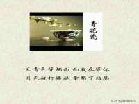 成武维生素网络科技有限公司