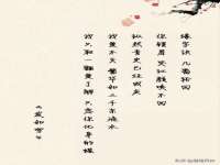 成武维生素网络科技有限公司