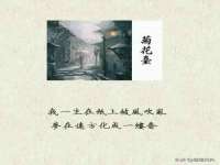 成武维生素网络科技有限公司
