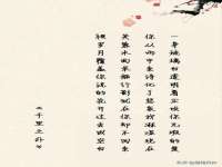 成武维生素网络科技有限公司