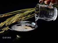 成武维生素网络科技有限公司