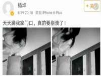 成武维生素网络科技有限公司