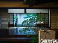 成武维生素网络科技有限公司