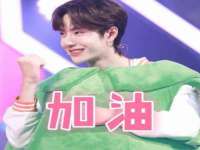 成武维生素网络科技有限公司