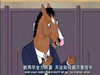 成武维生素网络科技有限公司