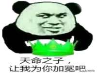 成武维生素网络科技有限公司