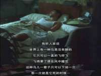 成武维生素网络科技有限公司