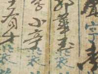 成武维生素网络科技有限公司