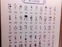 成武维生素网络科技有限公司