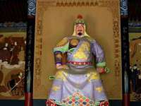 成武维生素网络科技有限公司