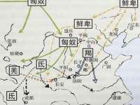 成武维生素网络科技有限公司