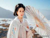 成武维生素网络科技有限公司