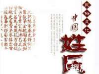 成武维生素网络科技有限公司