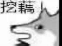 成武维生素网络科技有限公司